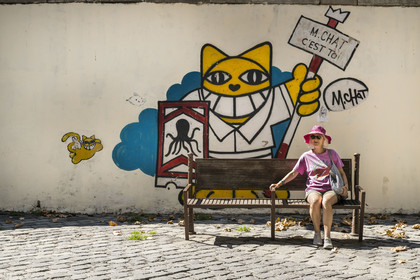 France, Herault, Sete,  Quartier Haut (the Upper Quarter), mural fresco which is part of the MACO (Musee à ciel ouvert) - Open-air museum, This is you (Chat c'est toi) by the artist Mr Chat on Place Léon Blum