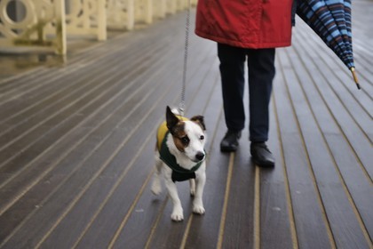 France, Calvados, Pays d'Auge, Deauville, the famous planks on the beach