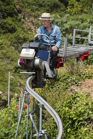 Italy, Liguria, Cinque Terre National Park listed as World Heritage by UNESCO, village of Vernazza, Bartolomeo Lercari, owner and operator of DO Liguria di Levante Cheo wines on his cogwheel monorail for harvesting on these extremely steep lands