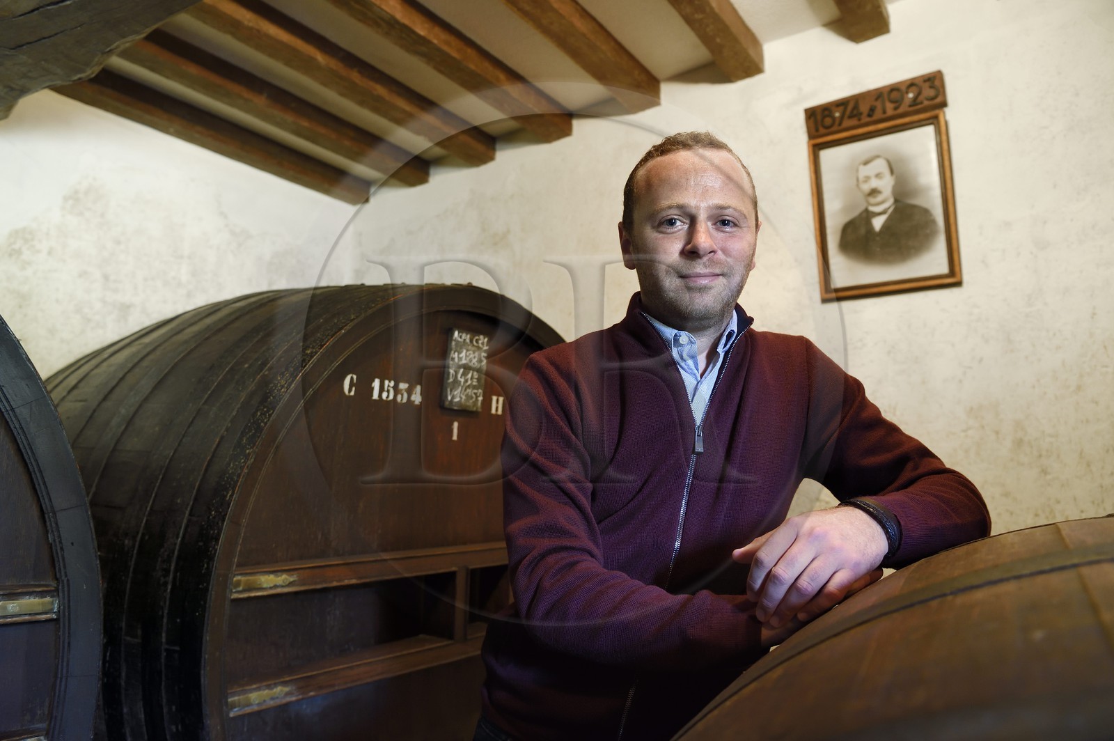 France, Calvados (14), Pays d'Auge, Saint-Cyr du Ronceray, Jean-Roger Groult (sous le portrait de son arrière grand-père) producteur du Calvados Roger Groult AOC Pays d’Auge depuis cinq générations, tonneaux dans les chais de vieillissement