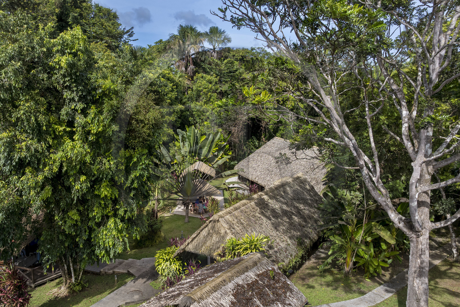 France, Guyane, le carbet du Camp Maripas en bordure du fleuve Kourou (vue aérienne)