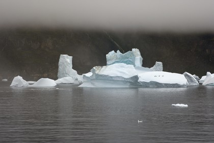 Greenland, west coast, Disko Island, iceberg in the mist off Qeqertarsuaq