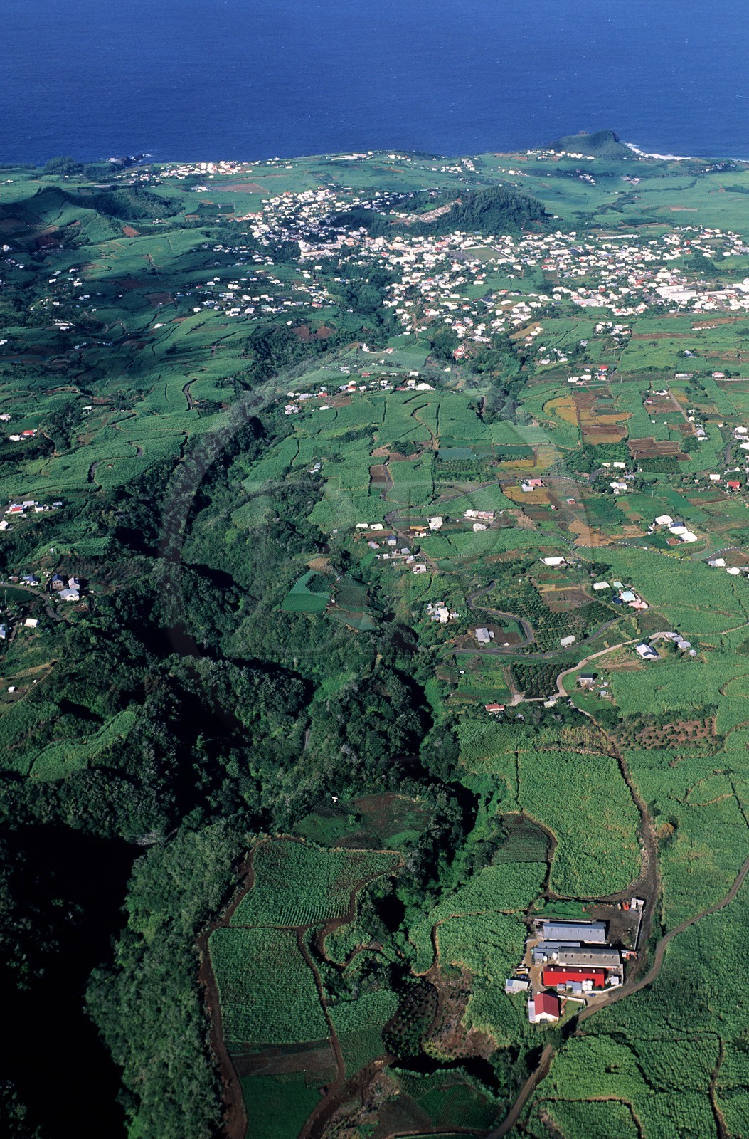 France, île de la Réunion, Côte Sud, nombreuses plantations de canne à sucre dans les hauteurs de Petite Île (vue aérienne)