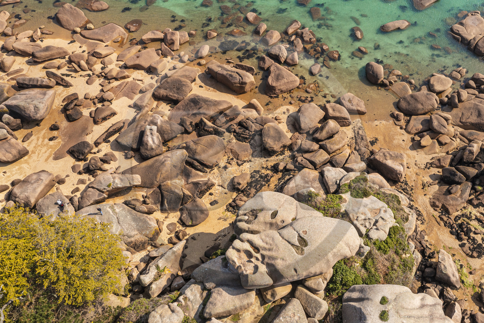 France, Côtes-d'Armor (22), Côte de Granit Rose, Trégastel, Ile Renote, le chaos granitique émerge de la plage à marée basse (vue aérienne)