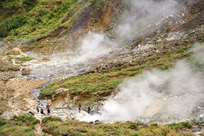 Caribbean, Dominica Island, Castle Bruce, Morne Trois Pitons National Park listed as World heritage by UNESCO, Valley of Desolation with fumaroles and hot springs, hike on the trail to Boiling Lake