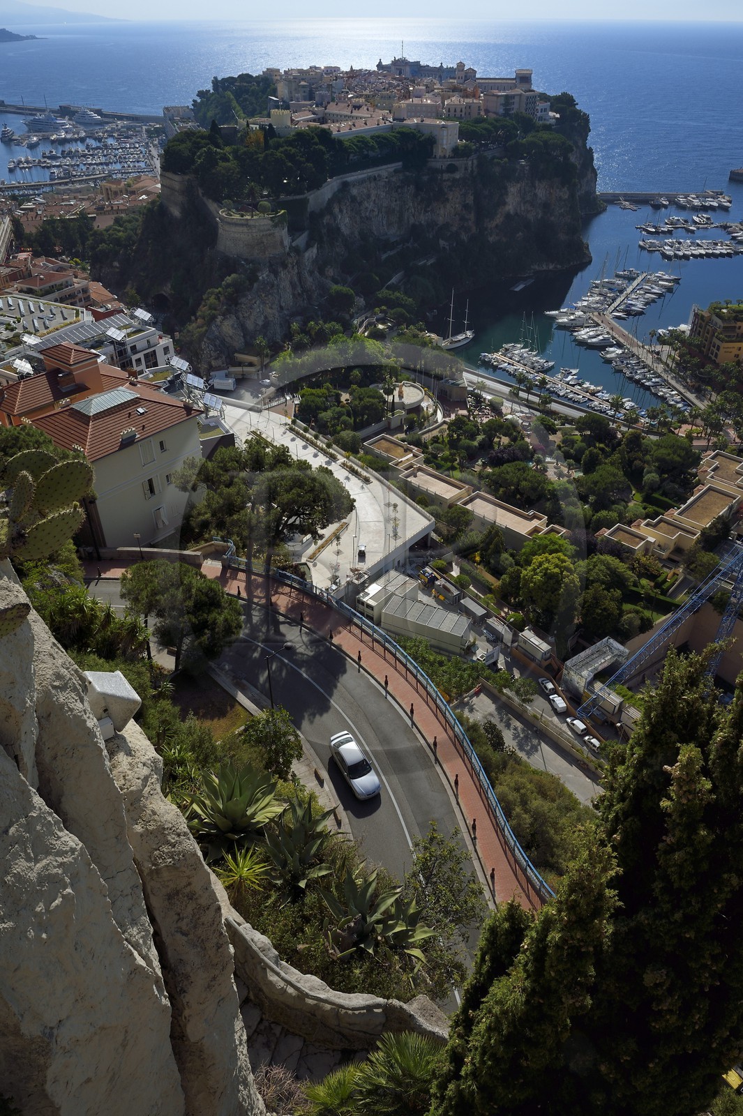 Principauté de Monaco, Monaco, le Jardin Exotique regroupant plusieurs milliers d'espèces de plantes succulentes, le Rocher et le port de Fontvieille en arrière plan