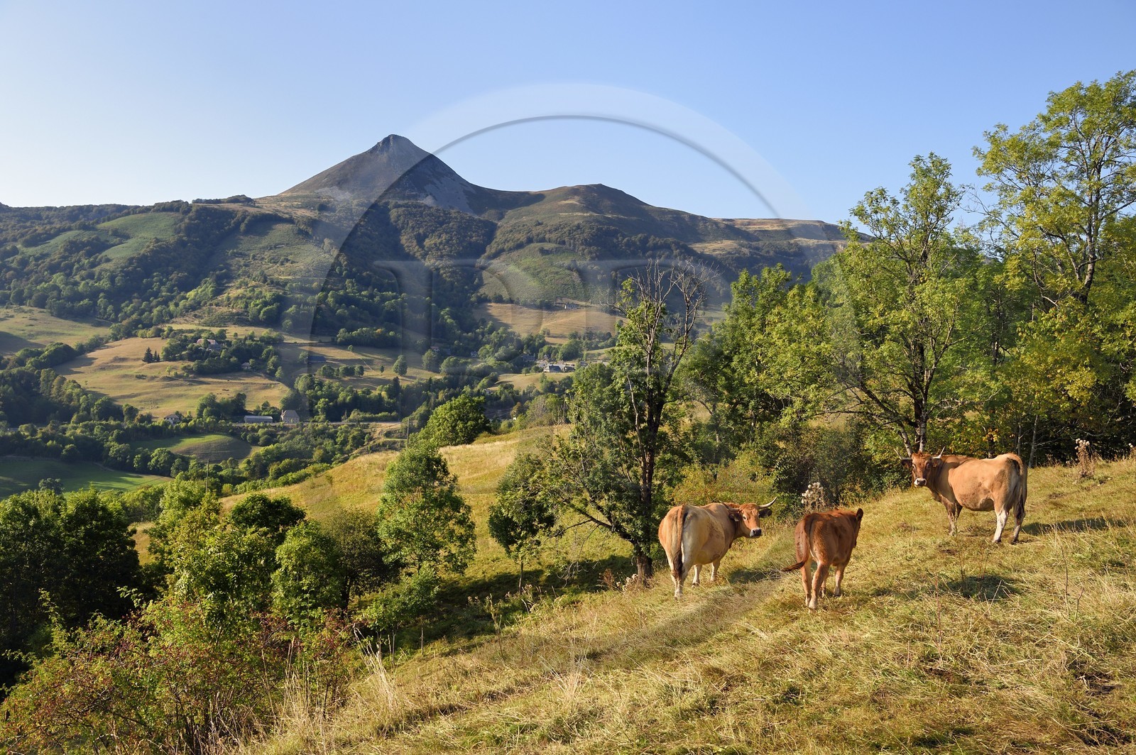 France, Cantal (15), Parc Naturel Régional des Volcans d'Auvergne, Saint-Jacques-des-Blats sur le chemin de Saint-Jacques de Compostelle par la Via Arverna, le Puy Griou France, Cantal (15), Parc Naturel Régional des Volcans d'Auvergne, Saint-Jacques-des-Blats sur le chemin de Saint-Jacques de Compostelle par la Via Arverna, le Puy Griou