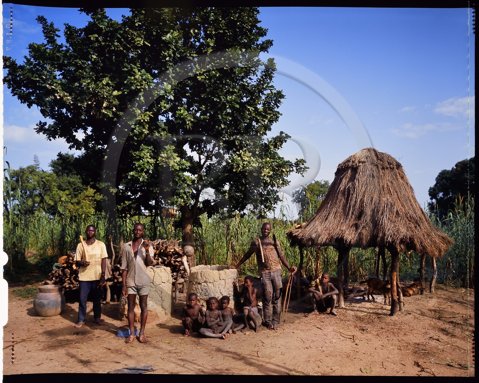 Burkina Faso, province de Poni, pays des Lobi, Loropéni, paysans posant avec arc et flèches dans la cour de ferme Burkina Faso, province de Poni, pays des Lobi, Loropéni, paysans posant avec arc et flèches dans la cour de ferme