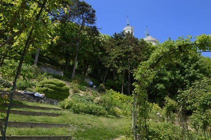 France, Rhone, Lyon, historical site listed as World Heritage by UNESCO, the Rosary Garden and Notre Dame de Fourviere basilica in the background