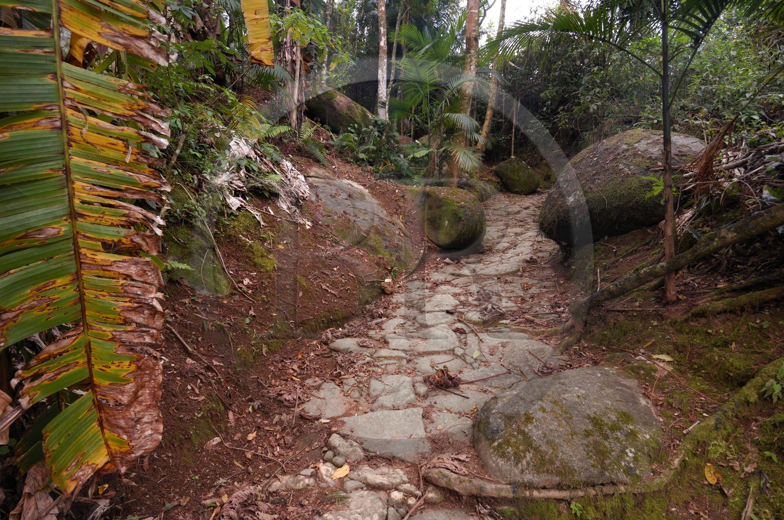 Brésil, Etat de Rio de Janeiro, Paraty, ancienne route de l'or (Estrada Real)