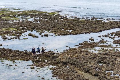 France, Vendée (85), Talmont Saint Hilaire, walls of the ruined fishery on the Veillon foreshore (aerial view)