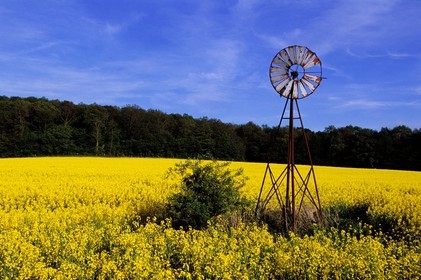 France, Côte-d'Or (21), région Sainte-Sabine, une éolienne dans un champ