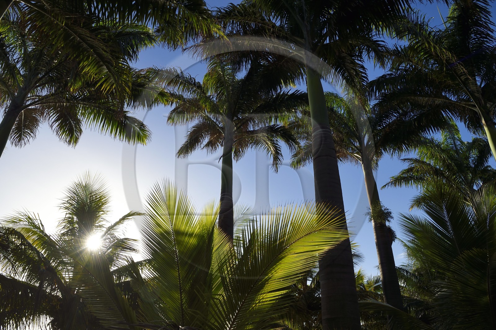 France, Ile de la Reunion, Petite-Ile sur la côte sud, plage de Grand-Anse