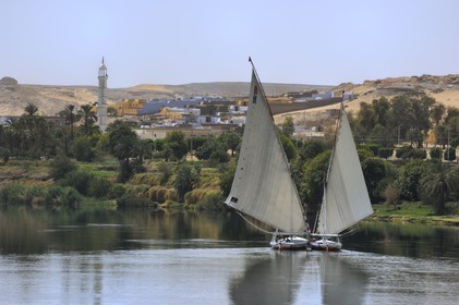 Egypt, Upper Egypt, Nile Valley, the Nile river between Kom Ombo and Aswan