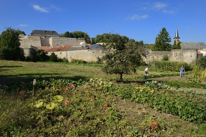 France, Moselle (57), Rodemack, labellisé Les Plus Beaux Villages de France, couple cultivant son jardin à l'extérieur des remparts, les vestiges du chateau en arrière plan