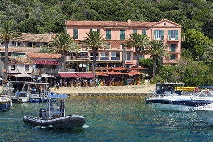 France, Var (83), Iles d'Hyères, parc national de Port Cros, Ile de Port-Cros, le port et village, départ d'une patrouille en zodiac du Parc