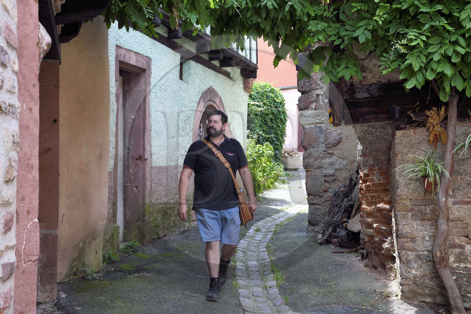 France, Haut-Rhin (68), Route des vins d'Alsace, Ribeauvillé, Guillaume Seiller, vice-président de l’association de conservation et de restauration des trois châteaux de Ribeauvillé