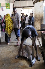 Tanzanie, Zanzibar, Stown Town, le marché de Darajani, marché au poissons