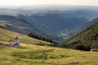 France, Cantal, Parc Naturel Régional des Volcans d'Auvergne (regional nature park of Auvergne volcanoes), the Brezons valley seen from the mountain pastures