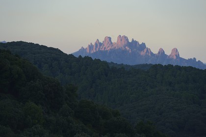 France, Corse du Sud, Alta Rocca, Aiguilles de Bavella (Bavella Needles) at sunset