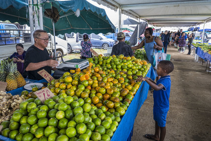 France, French Guiana, Javouhey, Sunday market Hmong refugees from Laos who arrived in 1978 and have specialized in fruit farming, stall of tangerines and limes