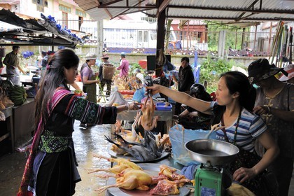 Vietnam, Lao Cai province, Sapa market, Black Hmong minority group