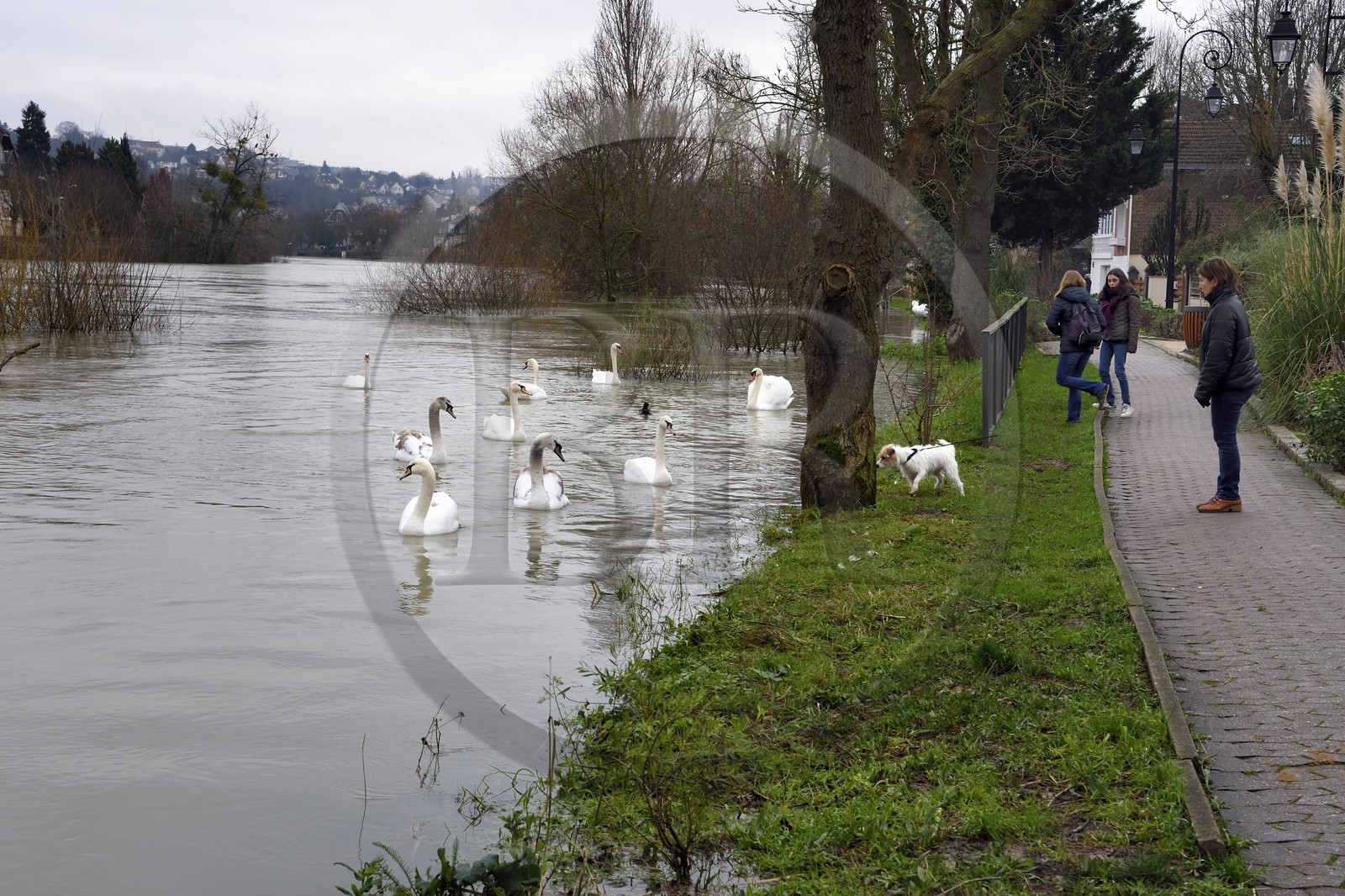 France, Val-de-Marne (94), Le Perreux-sur-Marne, les bords de Marne inondés