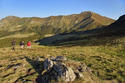 France, Cantal, Parc Naturel Régional des Volcans d'Auvergne (regional nature park of Auvergne volcanoes),  Le Lioran, col de Rombiere (mountain pass), hikers on the Way of St. James to Santiago de Compostela by Via Arverna, the puy de Peyre Arse in the background