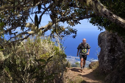 France, Ile de la Reunion, Parc National de la Réunion classé Patrimoine Mondial de l'UNESCO, La Possession, vers le village de Dos d'Ane, François Gaulin en randonnée de la Roche Bouteille par le sentier Cap Noir