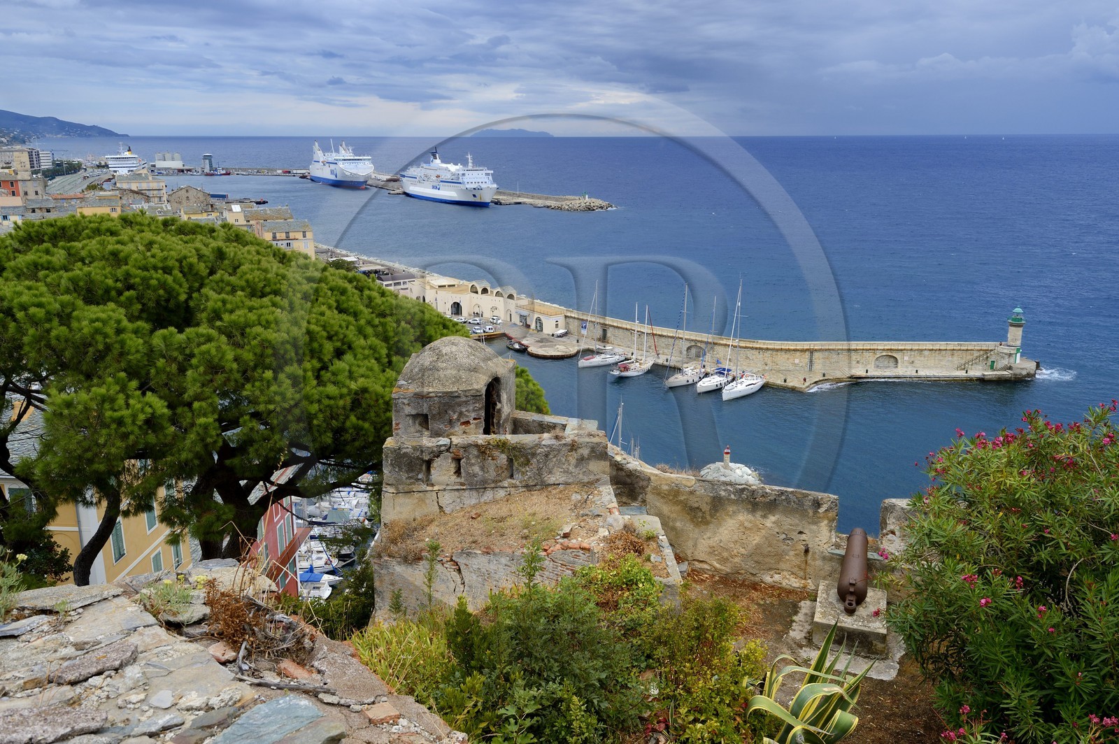 France, Haute-Corse (2B), Bastia, vue sur le port depuis la Citadelle