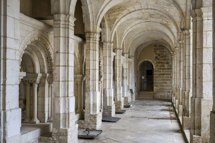 France, Yonne, Auxerre, Saint Germain Abbey, the chapter house of the cloister and its 12th century wall found after the reconstruction at the end of the 17th century
