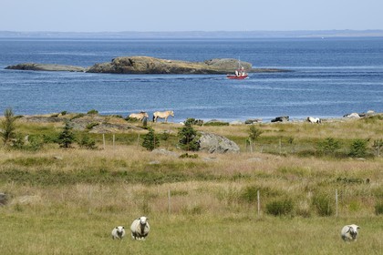 Norvège, Rogaland, région de Stavanger, l'île de Bru