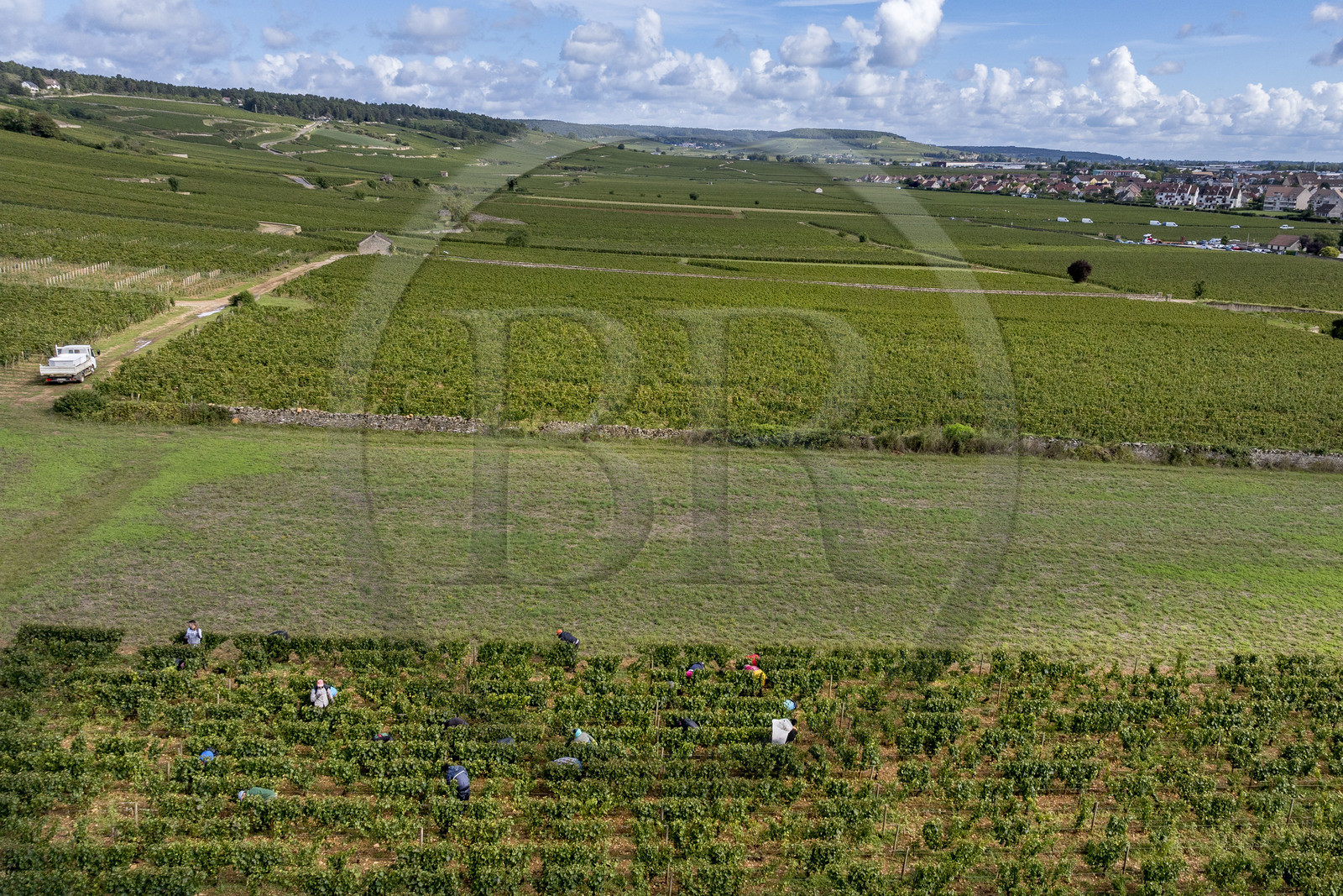 France, Côte-d'Or (21), les climats de Bourgogne classés Patrimoine Mondial de l'UNESCO, Route des Grands Crus, vignoble de la Côte de Beaune, Beaune, vendanges dans les vignes où les Hospices de Beaune possèdent des parcelles, la colline de Corton en arrière plan (vue aérienne)