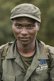 Rwanda, Province de l’Ouest, Gisakura, Parc national de Nyungwe, le pisteur Claude de African Parks dont le travail consiste à repérer les Colobes de Ruwenzori (Colobus angolensis ruwenzorii)