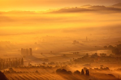 France, Vaucluse (84), Lubéron, paysage matinal près du village perché de Gordes