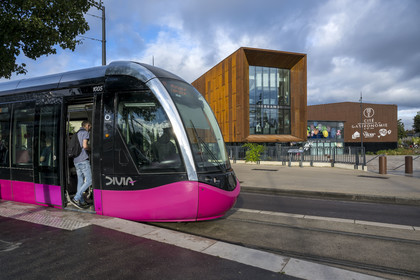 France, Cote d'Or, Dijon, area listed as World Heritage by UNESCO, International Cité of Gastronomy and Wine by architect Anthony Béchu, the light cannon that houses the Ferrandi school