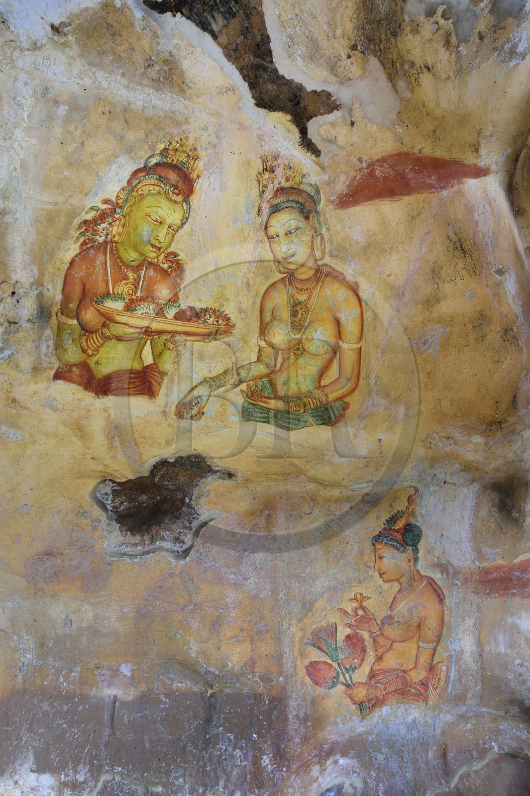Sri Lanka, province centrale, district de Matale, Sigiriya, ville ancienne de Sigiriya classée patrimoine mondial de l'UNESCO, fresques peintes appelées Les Demoiselles de Sigiriya abritées dans une grotte du Rocher du Lion