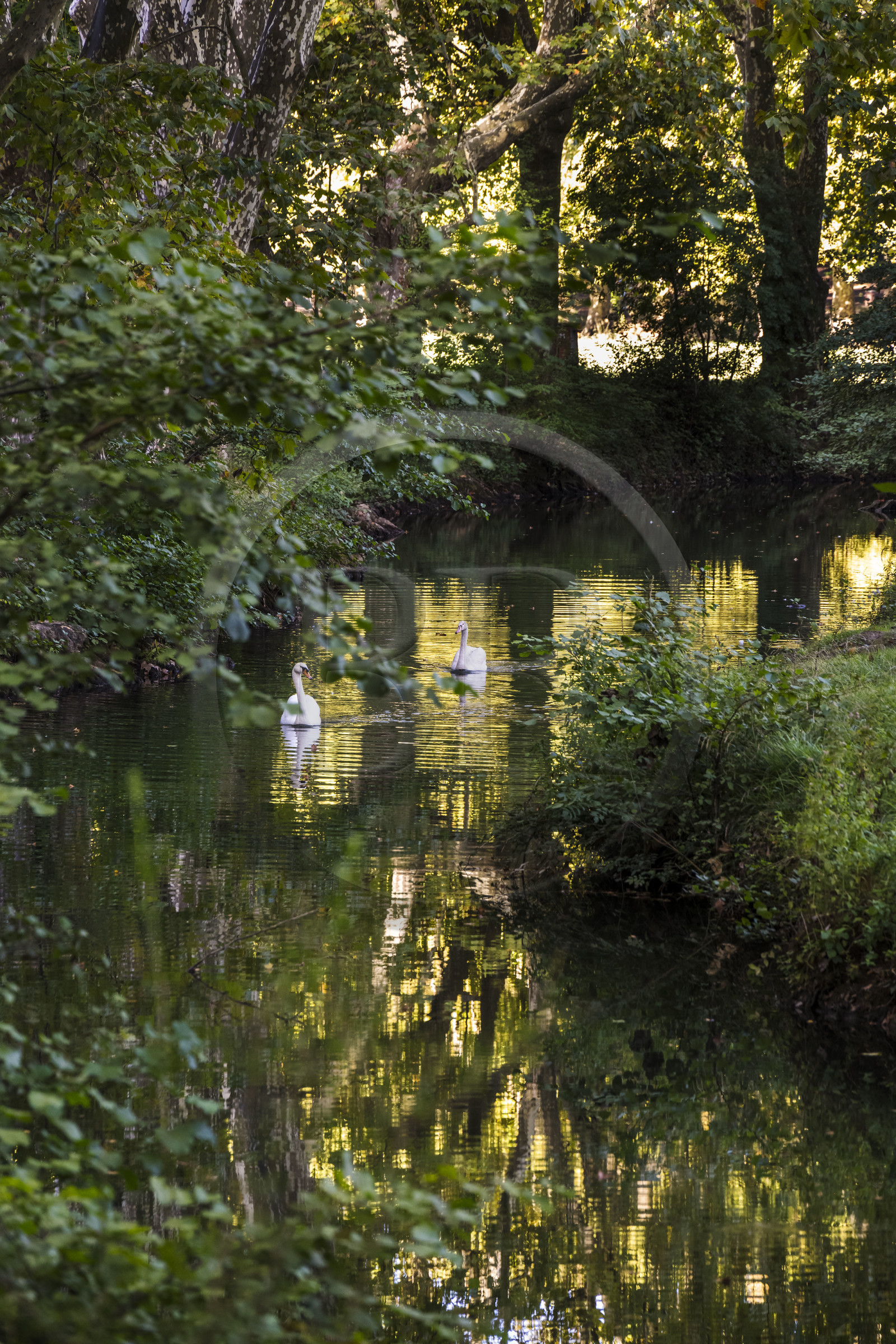 France, Gard (30), Uzès, Vallée de l'Eure, la rivière Alzon parallèle à l'aqueduc romain de Nimes