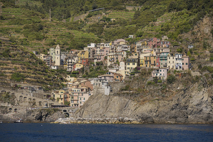 Italie, Ligurie, Cinque Terre, parc national des Cinque Terre classé Patrimoine Mondial de l'UNESCO, village de Manarola entouré par le vignoble