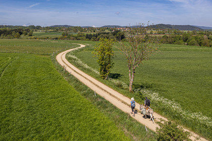 France, Haute-Loire (43), , hiking with a donkey on the Robert Louis Stevenson Trail (GR 70) between Goudet and Ussel (aerial view)