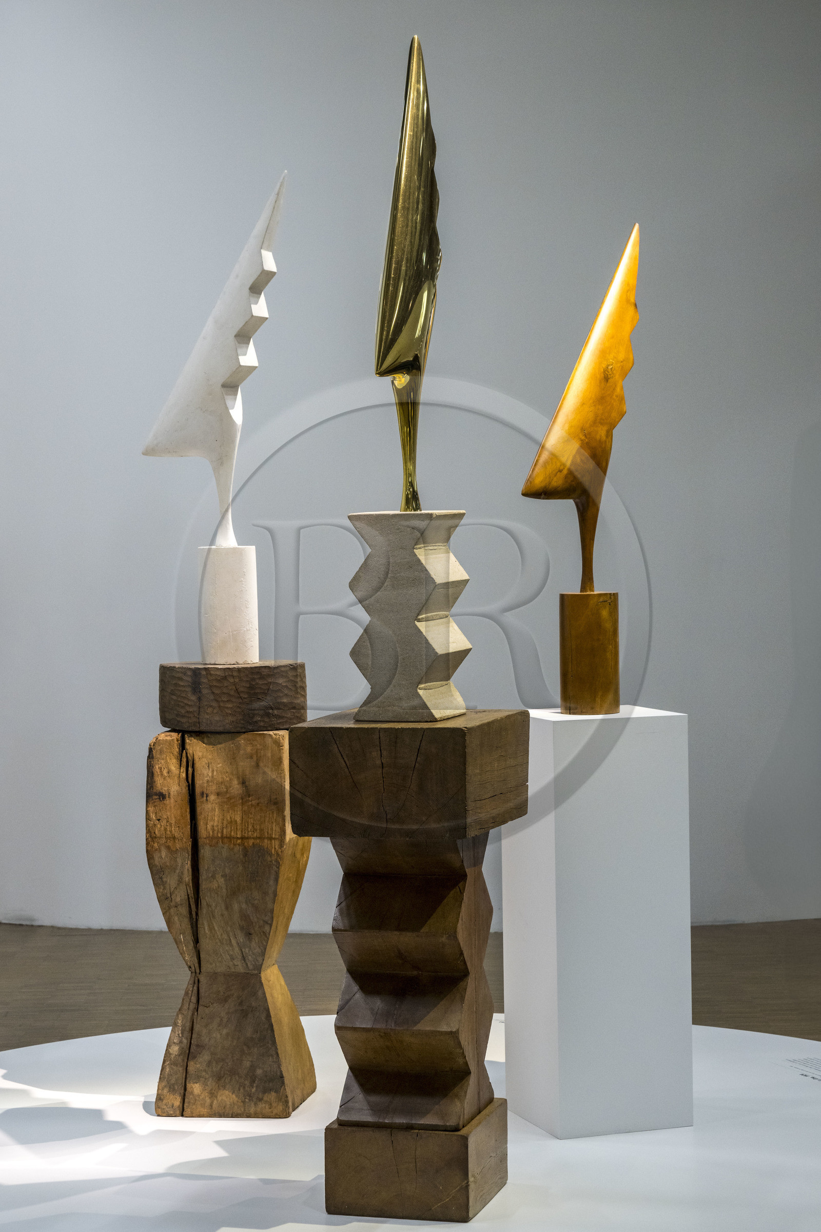 France, Paris (75), quartier des Halles, le Centre Pompidou aussi apellé Beaubourg, Musée National d'Art Moderne (MNAM), exposition retrospective Brancusi, le bestiaire poétique de Constantin Brancusi