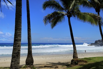 France, île de la Réunion, la côte sud, plage de Grand-Anse