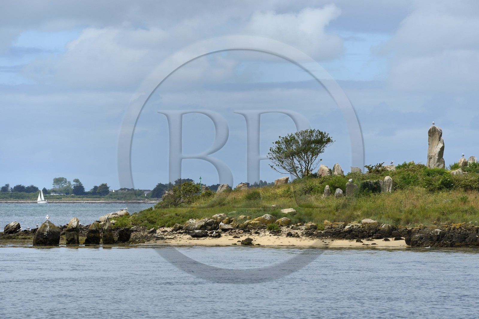 France, Morbihan (56), Golfe du Morbihan, île d'Er Lannic avec un site mégalithique cromlec'h