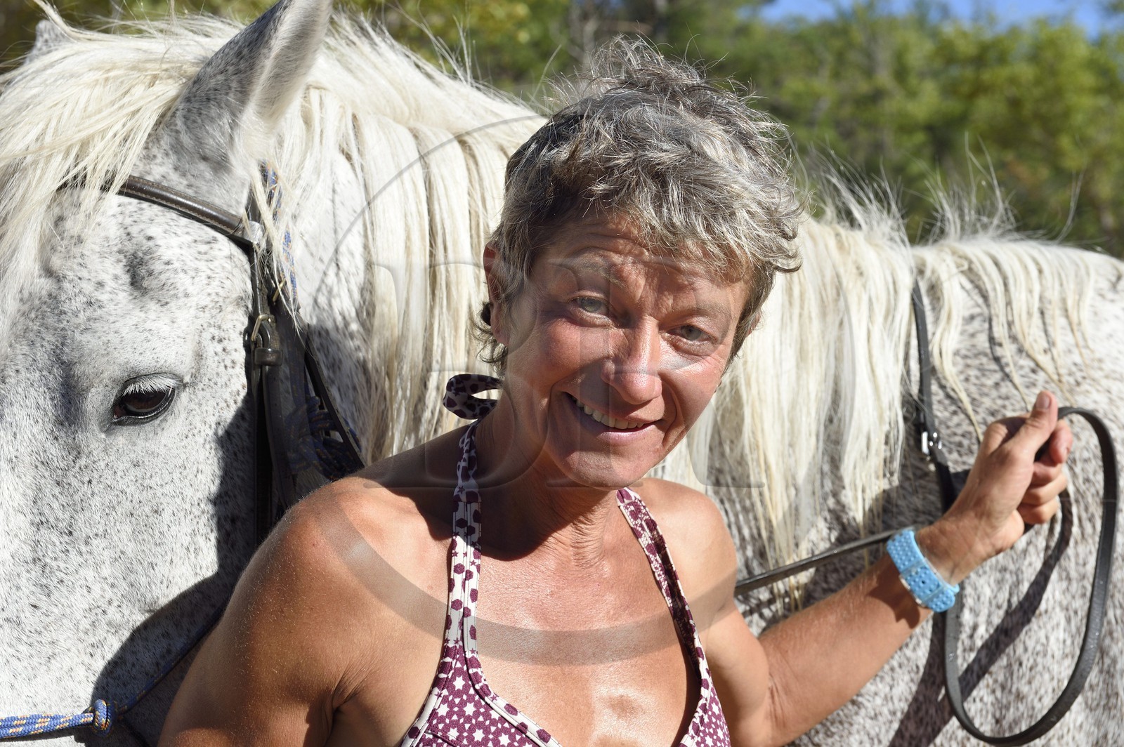 France, Var (83), Parc Naturel Régional du Verdon, lac de Sainte Croix, randonnée équestre avec Verdon Equitation