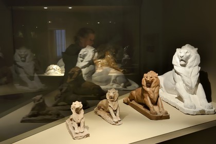 France, Haut-Rhin (68), Colmar, le Musée et maison natale de Bartholdi, projets pour le Lion de Belfort
