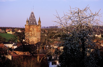 France, Bas Rhin, Niederhaslach, collegiate church of Saint Florent