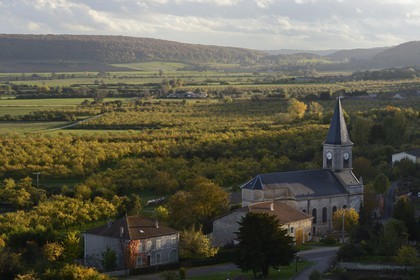 France, Meuse, Lorraine Regional Park, Cotes de Meuse, the Buxières-sous-les-Côtes church and cherry-plum trees in the Woevre plain