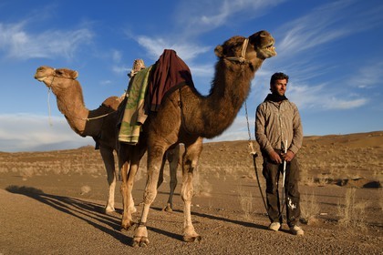 Iran, Province d'Ispahan, désert du Dasht-e Kavir, Mesr dans la région de Khur et Biabanak, chamelier et ses dromadaires dans le désert au soleil couchant