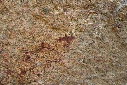 Namibia, Erongo region, Damaraland, the Pondok Mountains at the east of Spitzkoppe in the Namib Desert, rock paintings under a granitic overhang called the Bushman's Paradise believed to have been made between 4,400 BCE and 100 AD, representation of a zebra and men in a very significant position of hunting