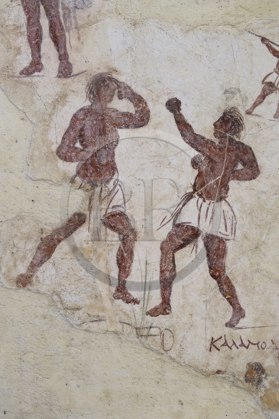 Grèce, île de Delos, classée Patrimoine Mondial de l'UNESCO, site archéologique de Délos, le musée archéologique, fresques